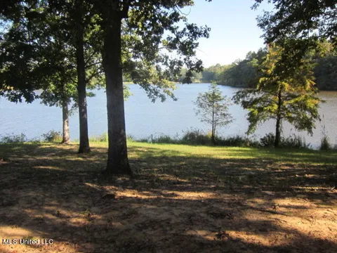 Spring Lake Community