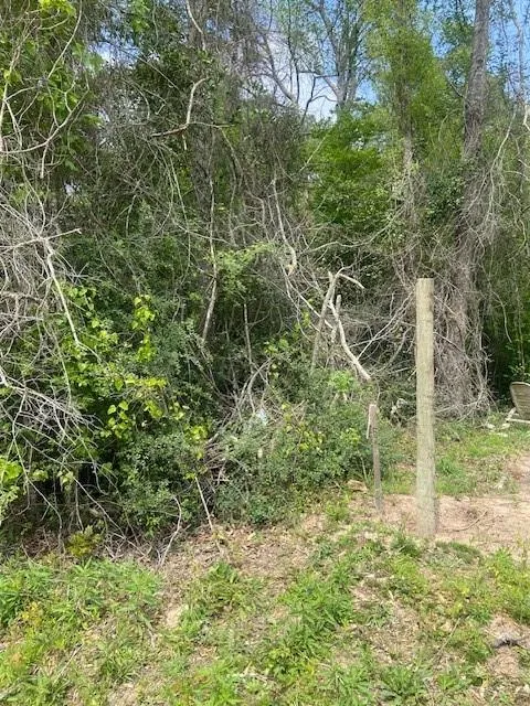 Robin Hood Lane Shepherd, TX 77371
