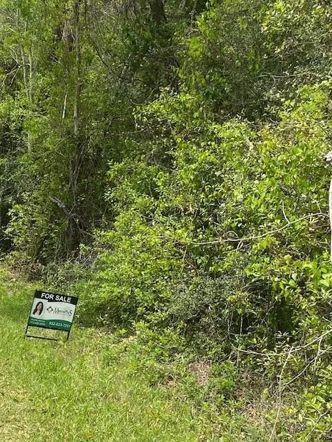 Robin Hood Lane Shepherd, TX 77371