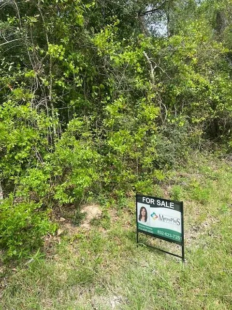 Robin Hood Lane Shepherd, TX 77371