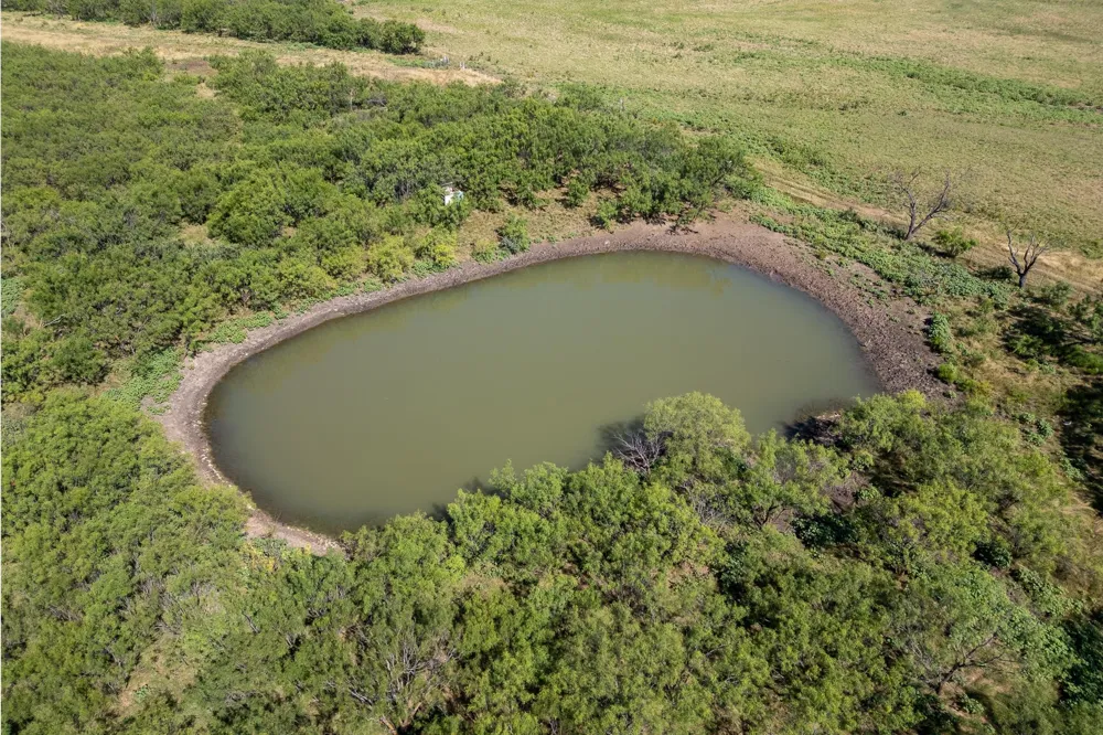 11775 CR 242 Clyde, TX 79510