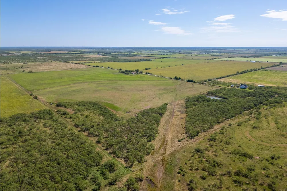 11775 CR 242 Clyde, TX 79510