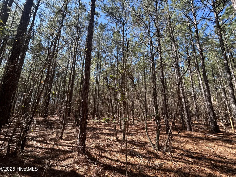 Tbd John Owen Road White Oak, NC 28399