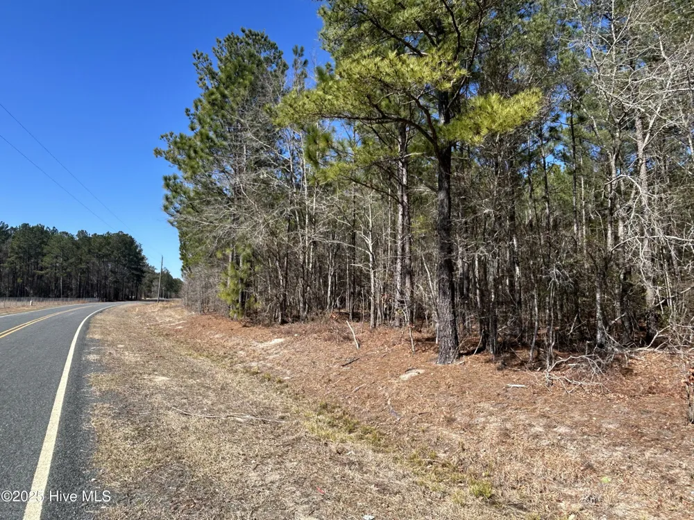 Tbd John Owen Road White Oak, NC 28399