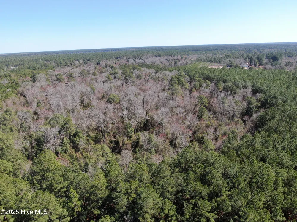 Tbd John Owen Road White Oak, NC 28399
