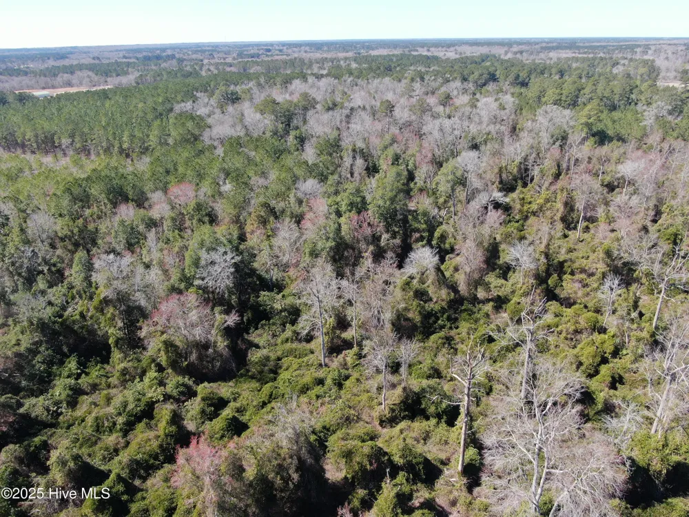 Tbd John Owen Road White Oak, NC 28399