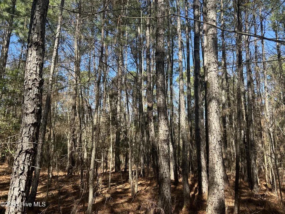 Tbd John Owen Road White Oak, NC 28399