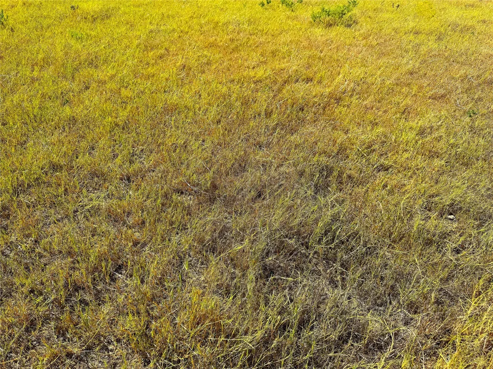 Hayes Road Mineral Wells, TX 76067