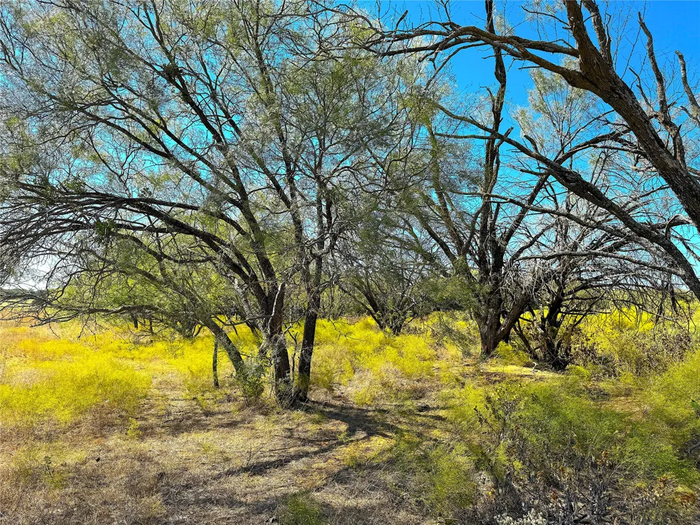Hayes Road Mineral Wells, TX 76067