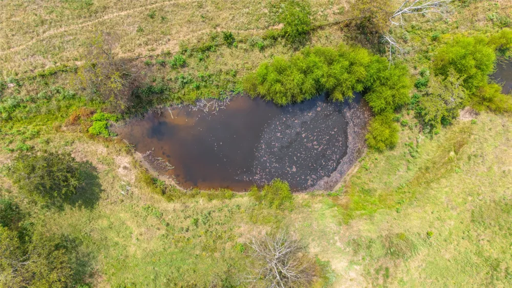 1987 Farm Road 900 Saltillo, TX 75478
