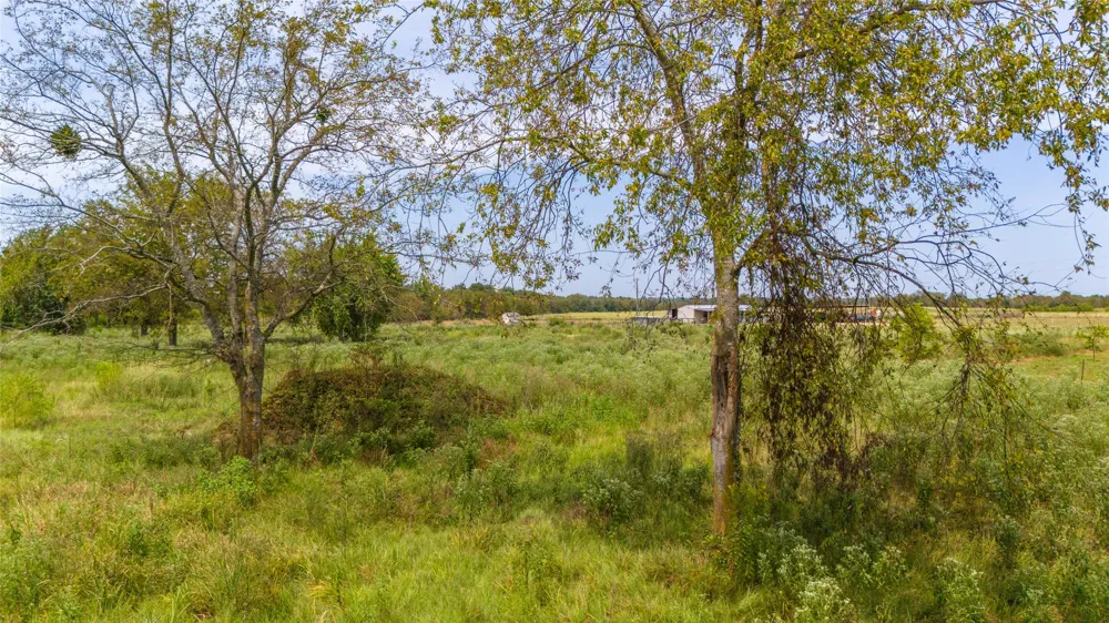 1987 Farm Road 900 Saltillo, TX 75478