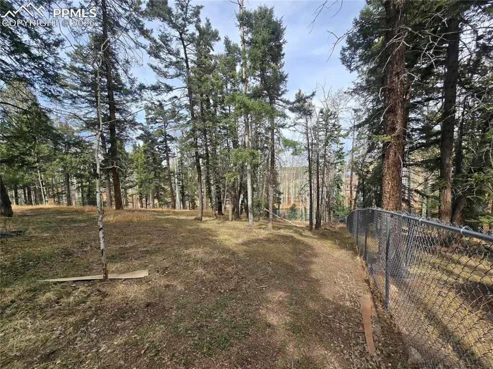 855 Will Stutley Drive Divide, CO 80814