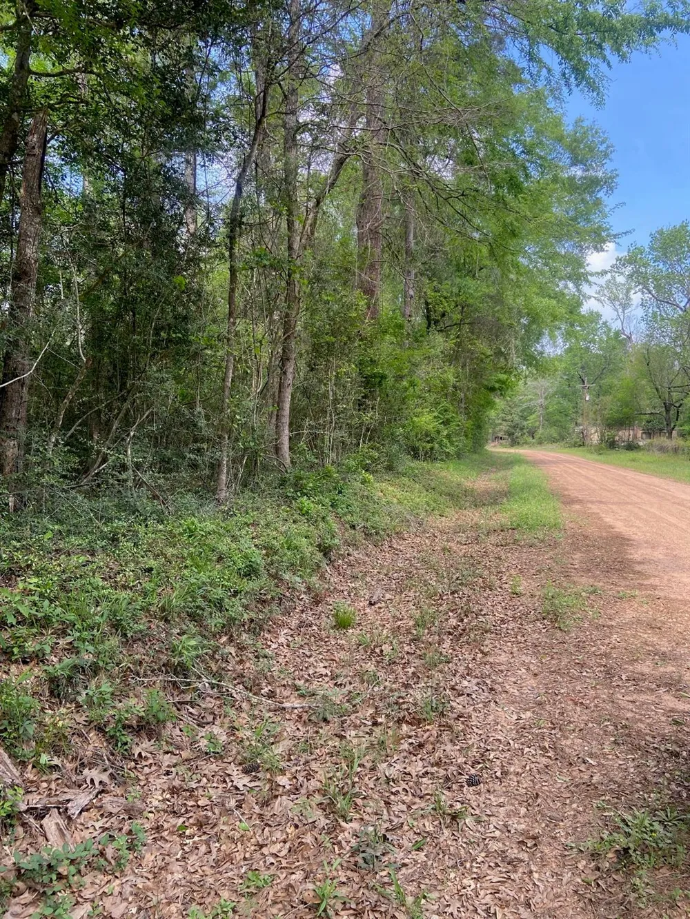 Friar Tuck Drive Shepherd, TX 77371
