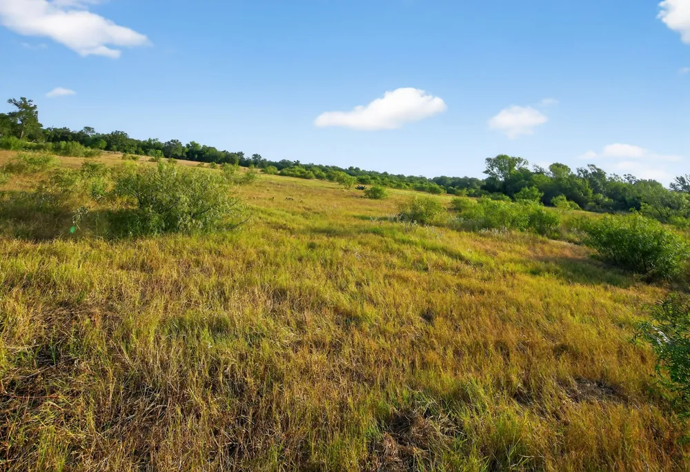 2959 FM 20 Highway Red Rock, TX 78662