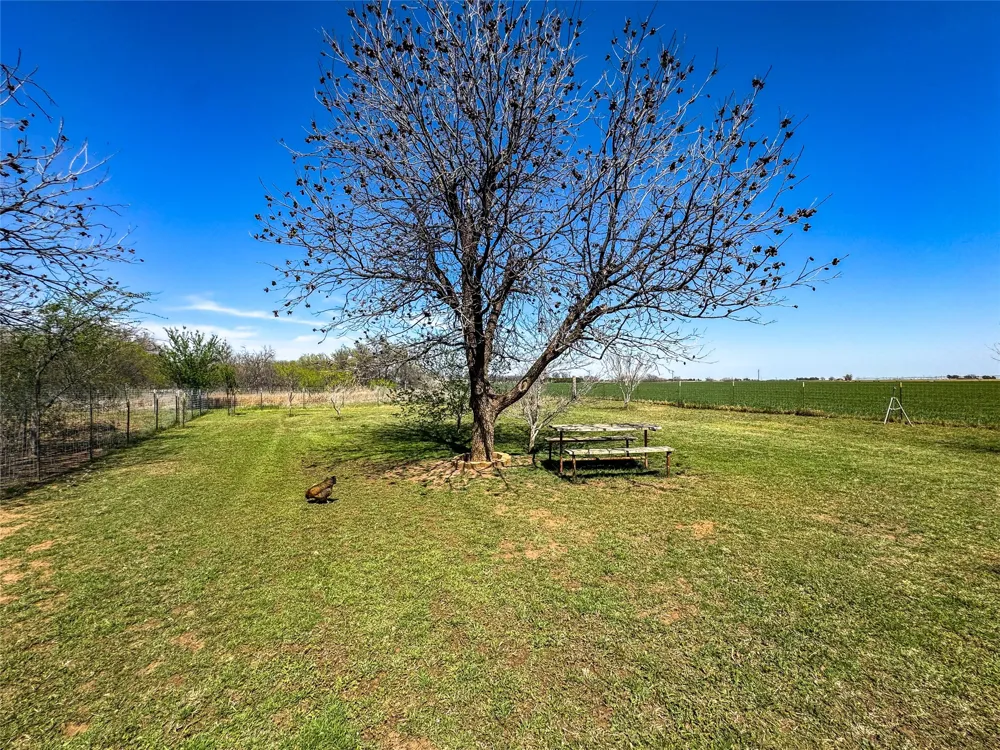 1209 Taylor Avenue Rule, TX 79547