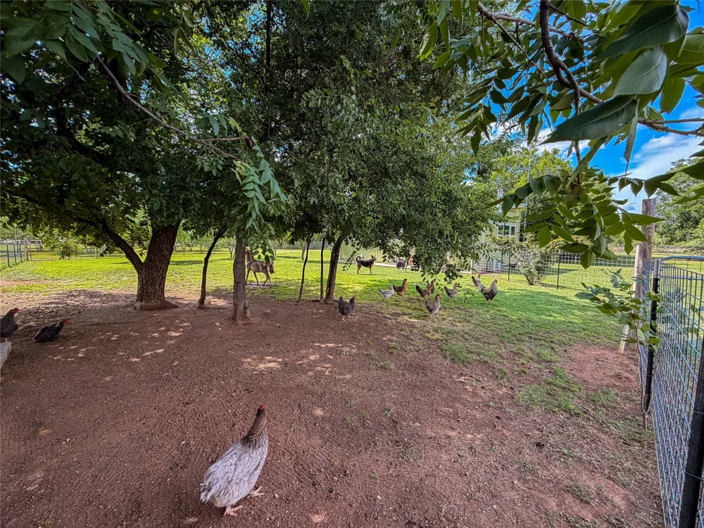 1209 Taylor Avenue Rule, TX 79547