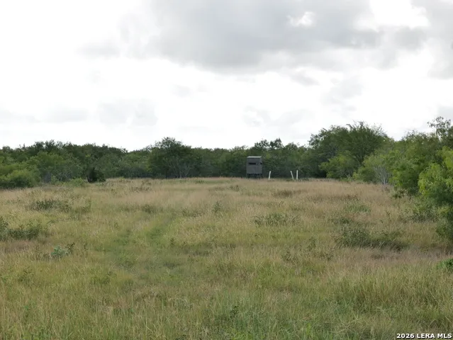 TBD CR 208 Hobson, TX 78117