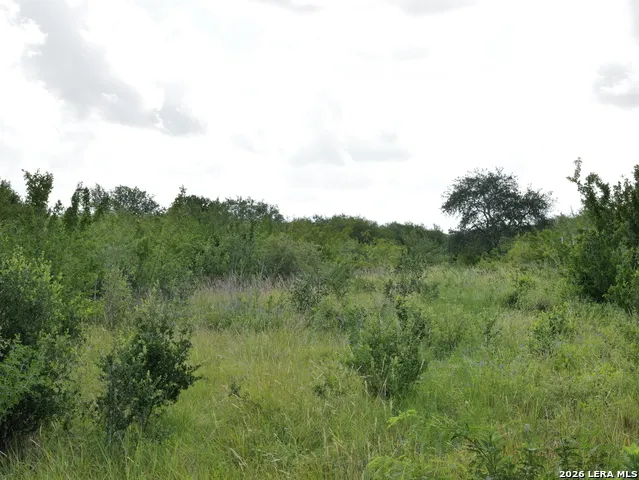 TBD CR 208 Hobson, TX 78117