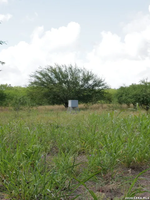 TBD CR 208 Hobson, TX 78117