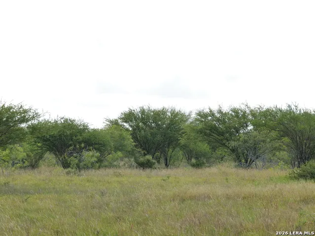 TBD CR 208 Hobson, TX 78117