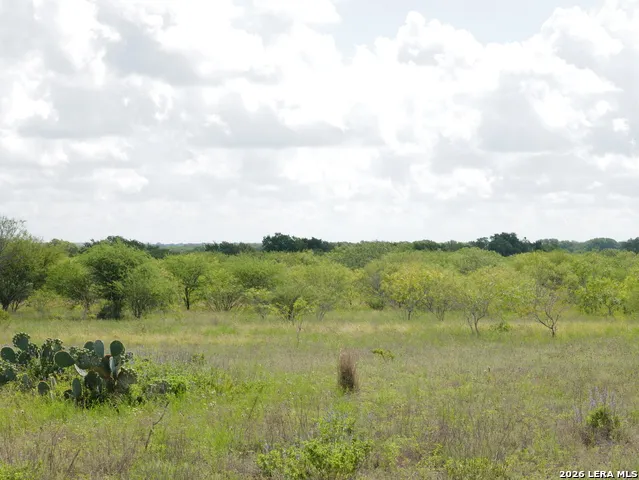 TBD CR 208 Hobson, TX 78117