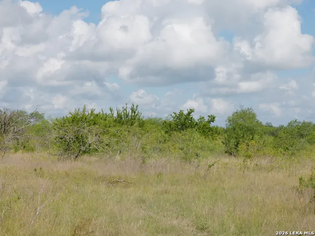 TBD CR 208 Hobson, TX 78117