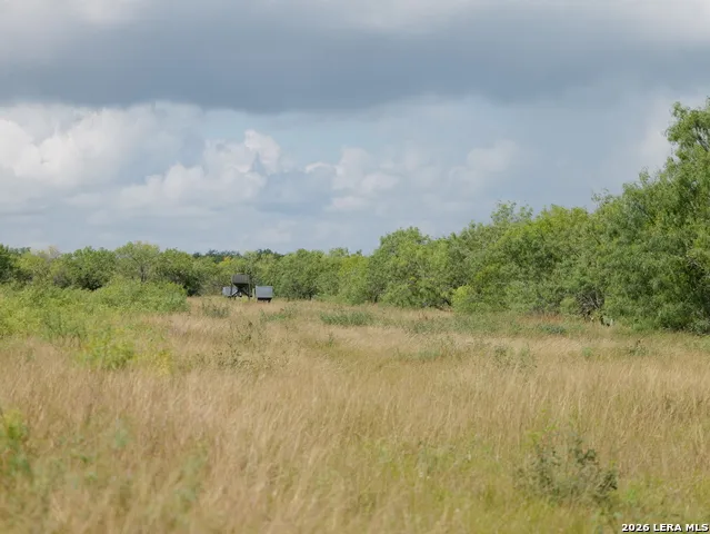 TBD CR 208 Hobson, TX 78117