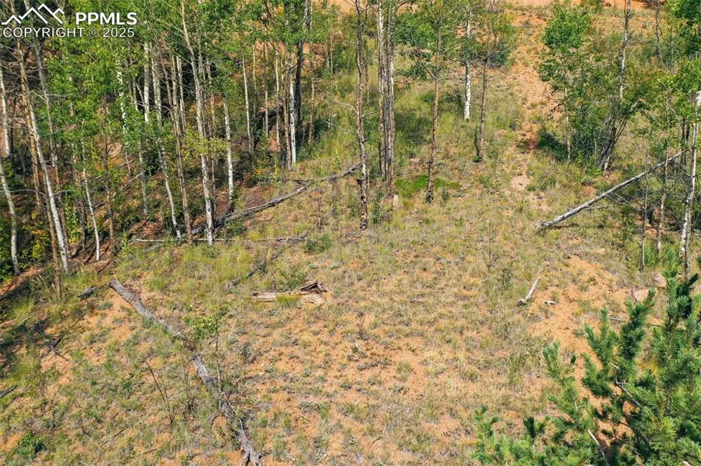 1300 Golden Cycle Circle Cripple Creek, CO 80813