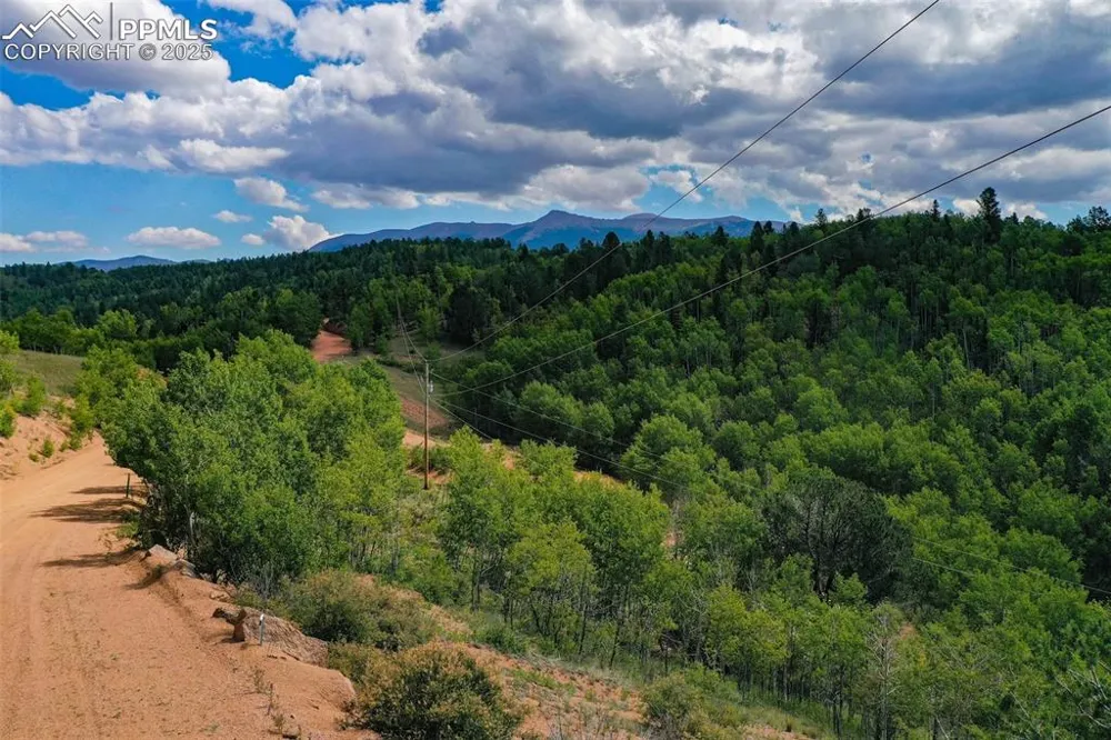 1300 Golden Cycle Circle Cripple Creek, CO 80813
