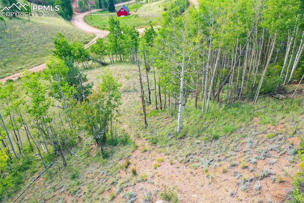 1300 Golden Cycle Circle Cripple Creek, CO 80813