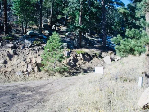 22076 High Springs Trail