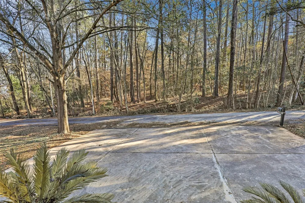 1 Mill Creek Road Point Blank, TX 77364