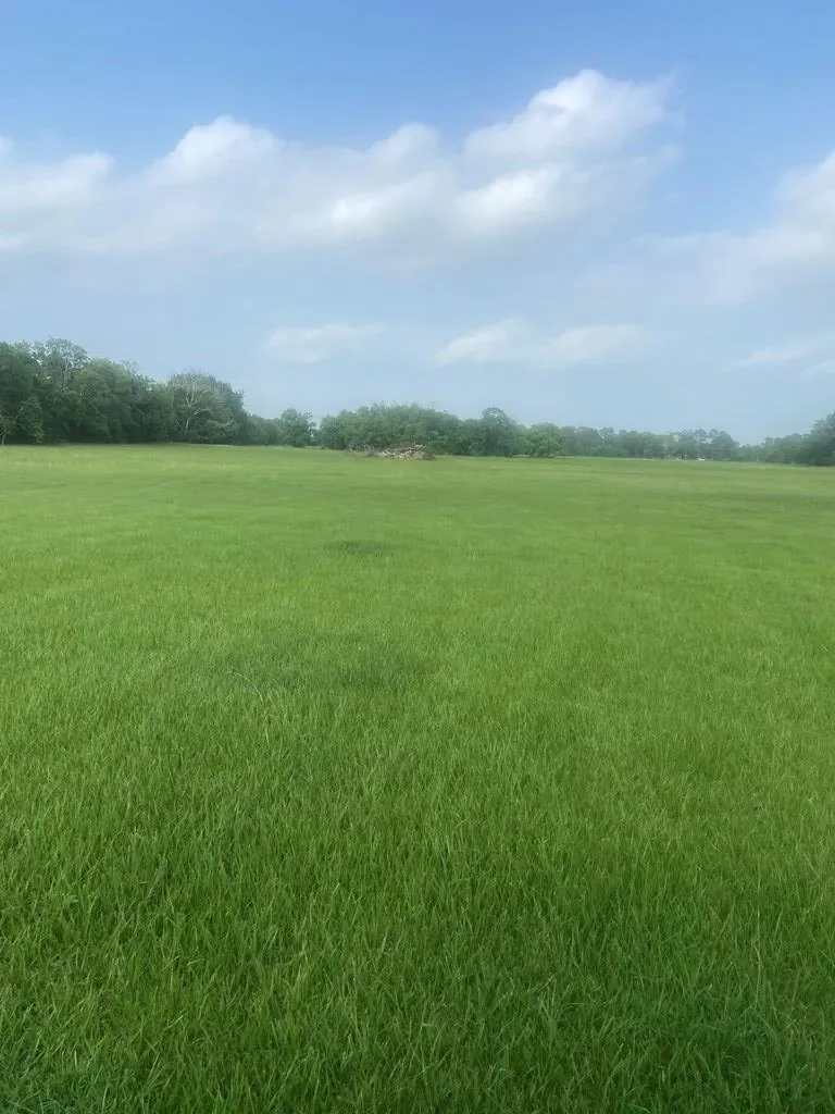 457 Sargent Drive Bay City, TX 77414