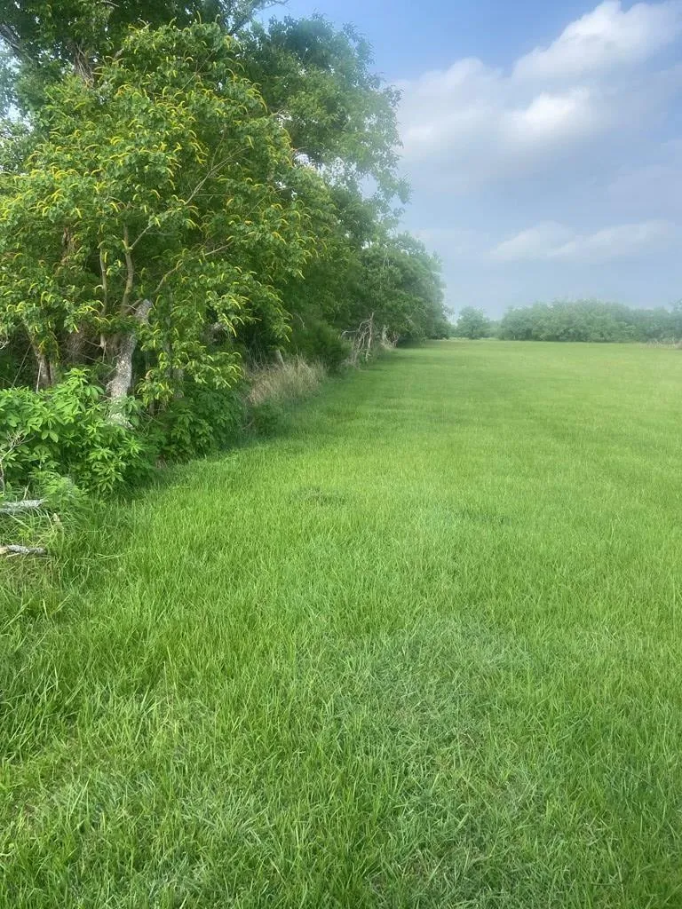 457 Sargent Drive Bay City, TX 77414