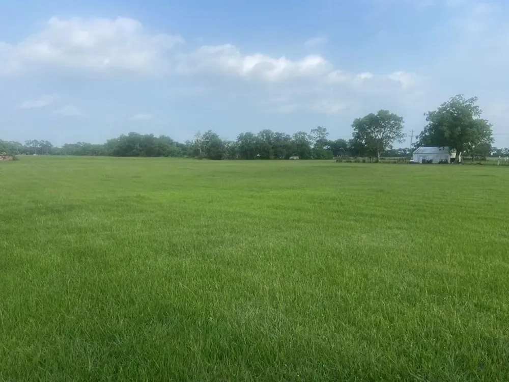 457 Sargent Drive Bay City, TX 77414
