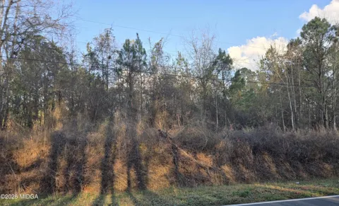 Willow Lake Road