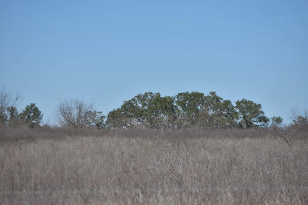 24 Jackson Road Refugio, TX 78377