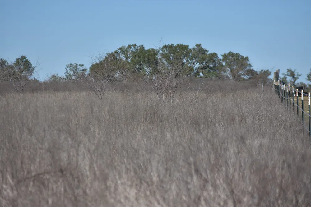 24 Jackson Road Refugio, TX 78377
