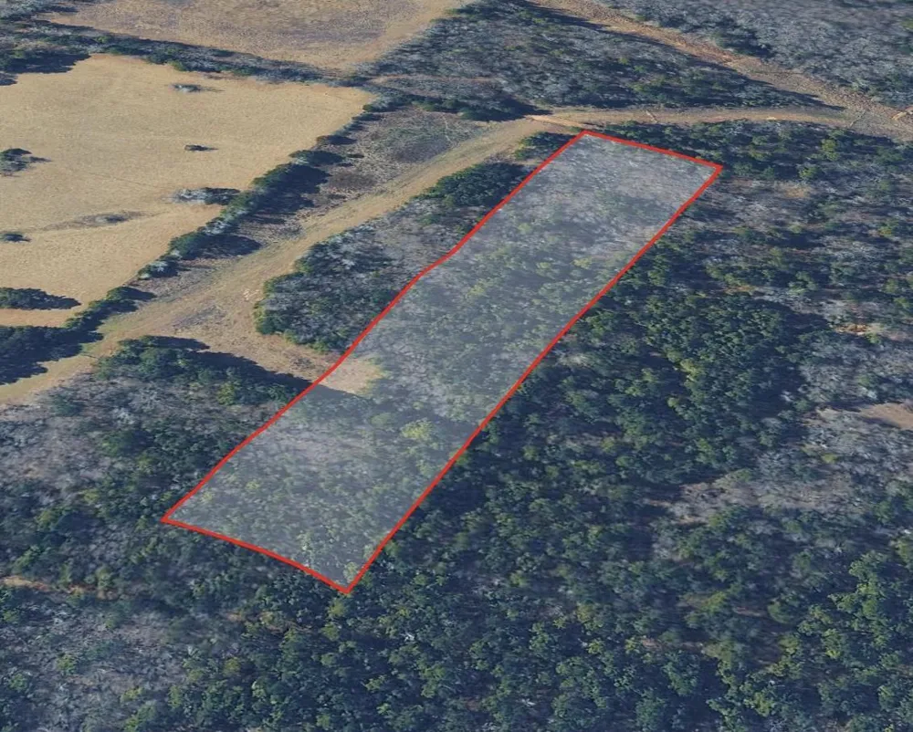 County Road 2484 Mineola, TX 75773