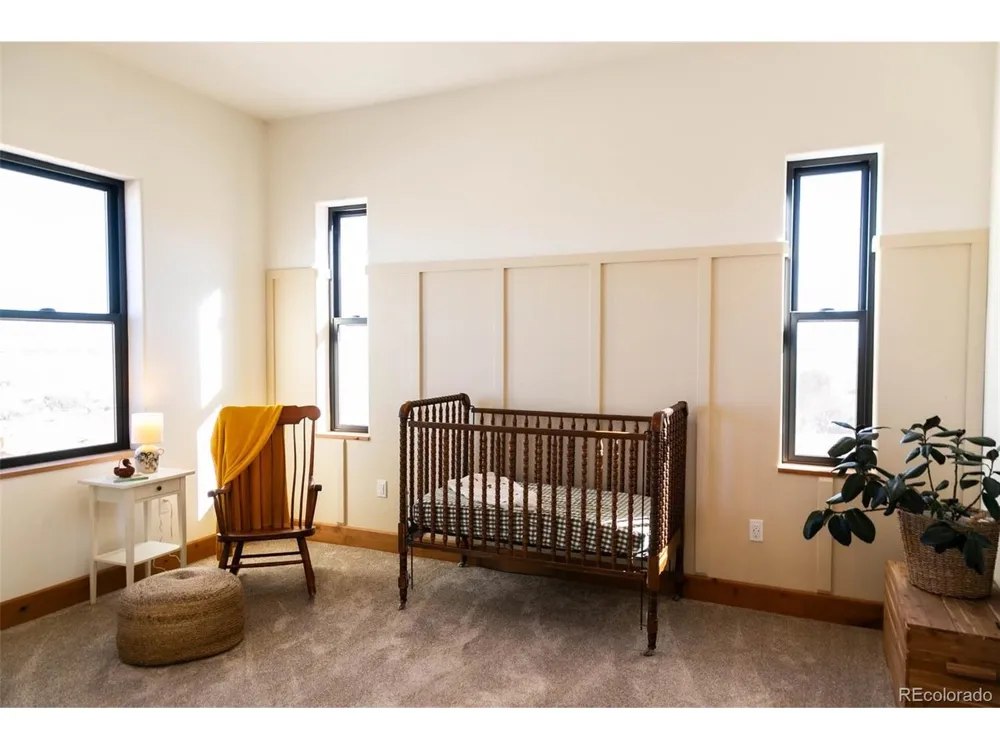 1080 Pronghorn Trail Del Norte, CO 81132