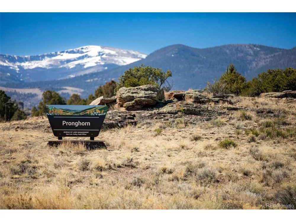 1080 Pronghorn Trail Del Norte, CO 81132