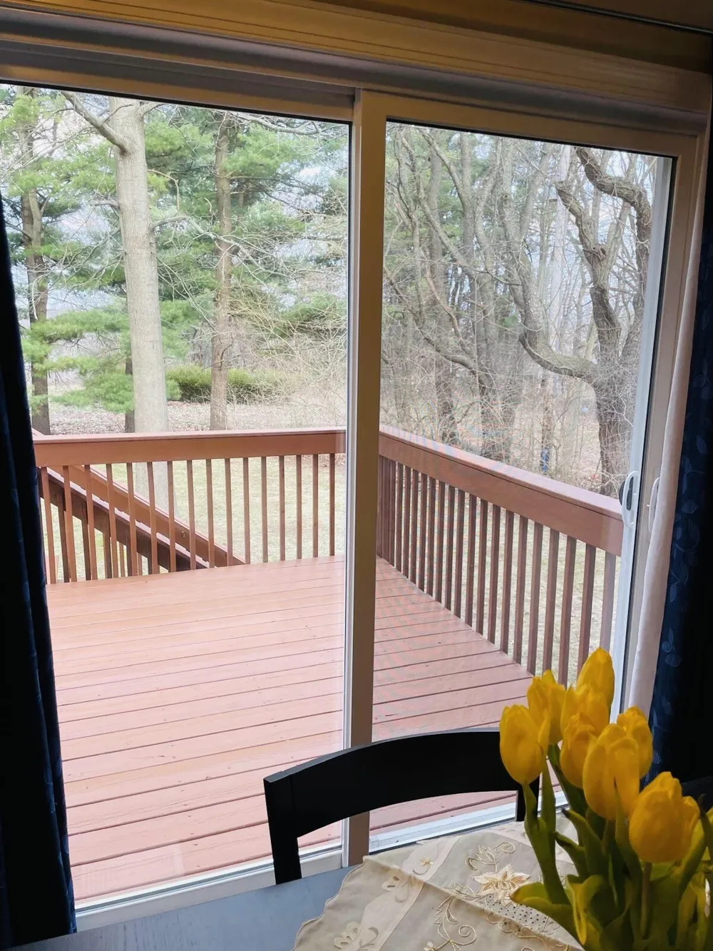 5343 Fieldstone Drive Portage, MI 49024