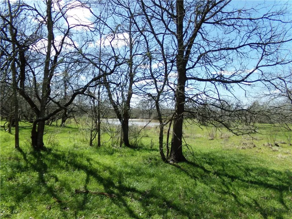 FM 619 Thrall, TX 76578
