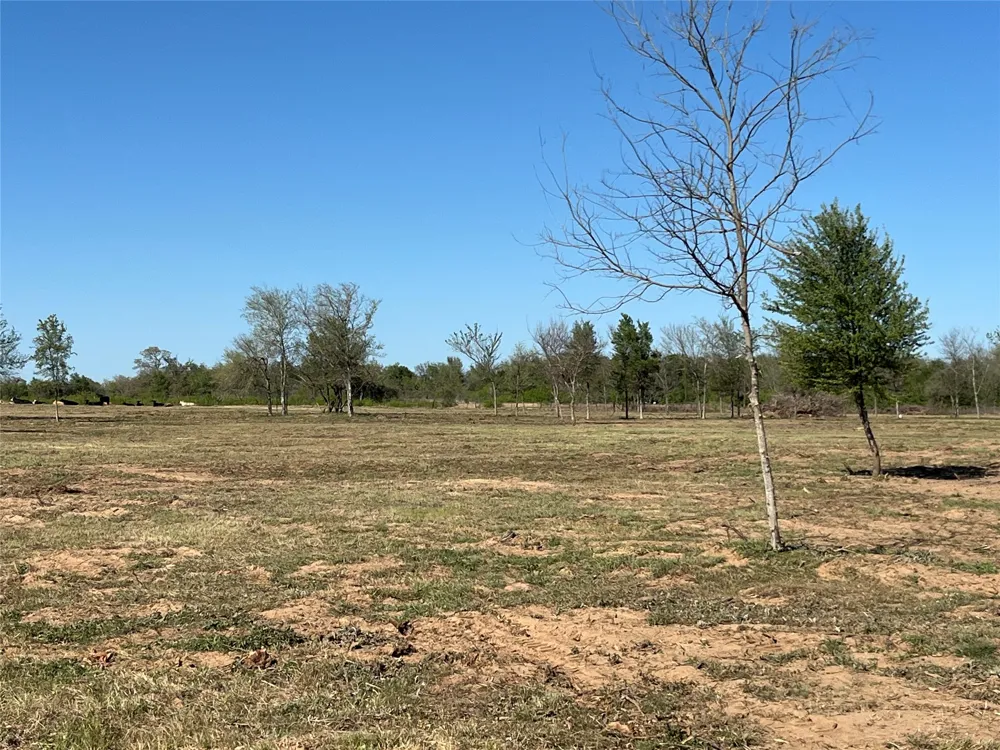 FM 619 Thrall, TX 76578