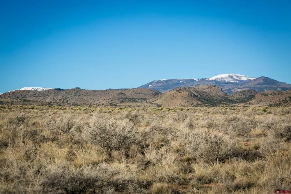 1080 Pronghorn Trail Del Norte, CO 81132
