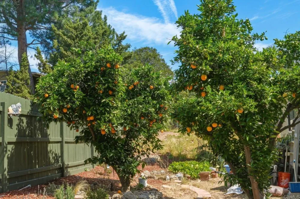 18218 Paradise Mountain Rd Spc 179 #Lot 179 Valley Center, CA 92082