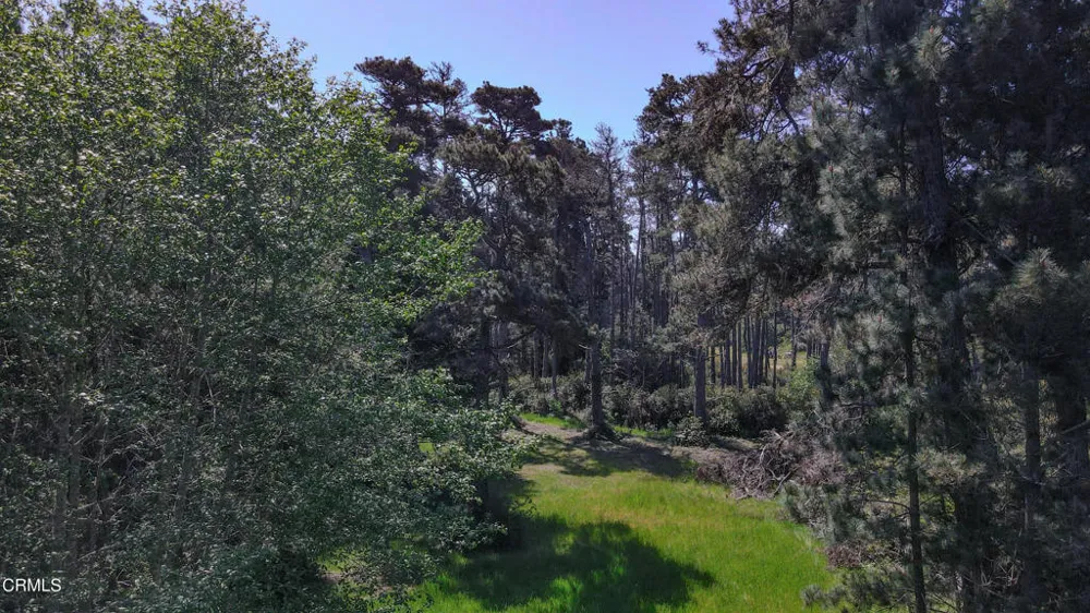 23401 California Hwy 1 Fort Bragg, CA 95437