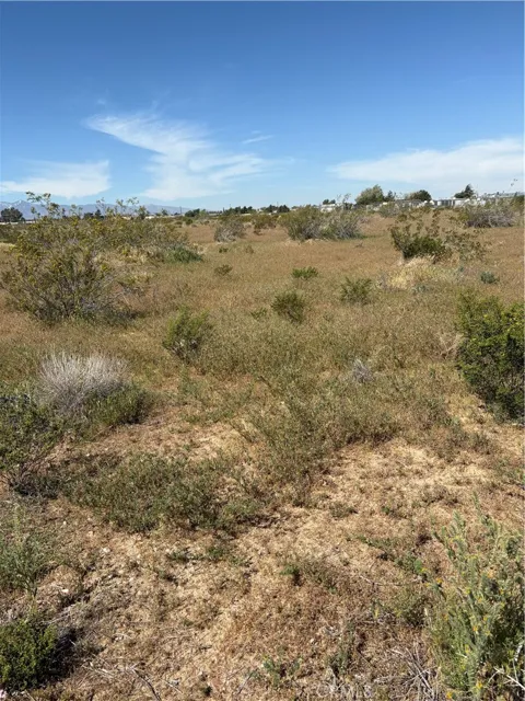 Hesperia Road