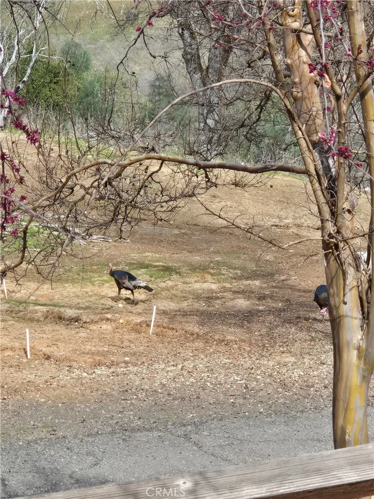18683 Morgan Valley Road Lower Lake, CA 95457
