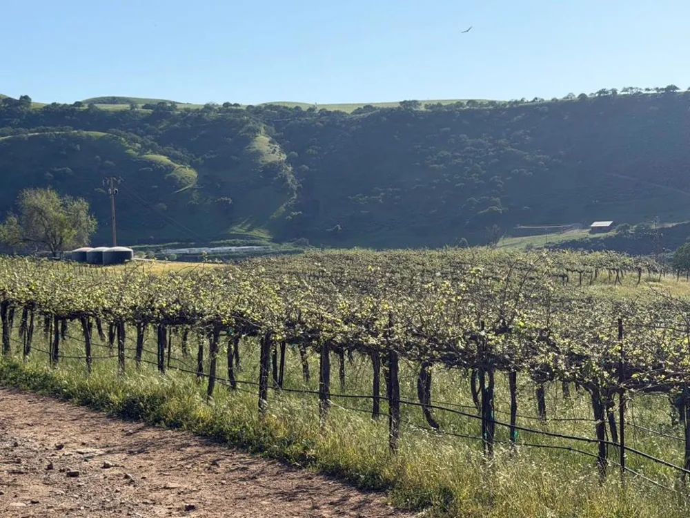 Airline Highway Tres Pinos, CA 95075